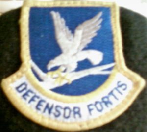 Military patch 